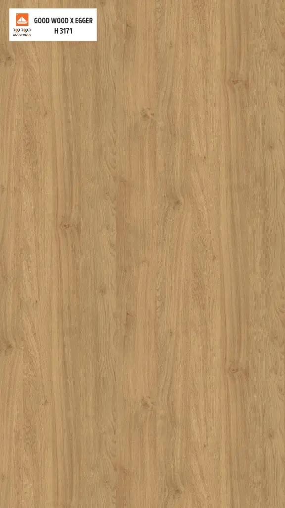 جوود وود إيجر H 3171