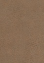 F323 ST20 Cobra Bronze